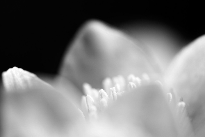 Wei+ƒeBl++te